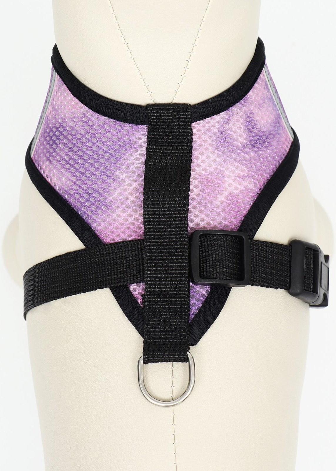 Комплект для собак 3-5 кг, S, шлейка ОШ 24 см, ОГ 34 см, поводок 1,2 м х 1,5 см