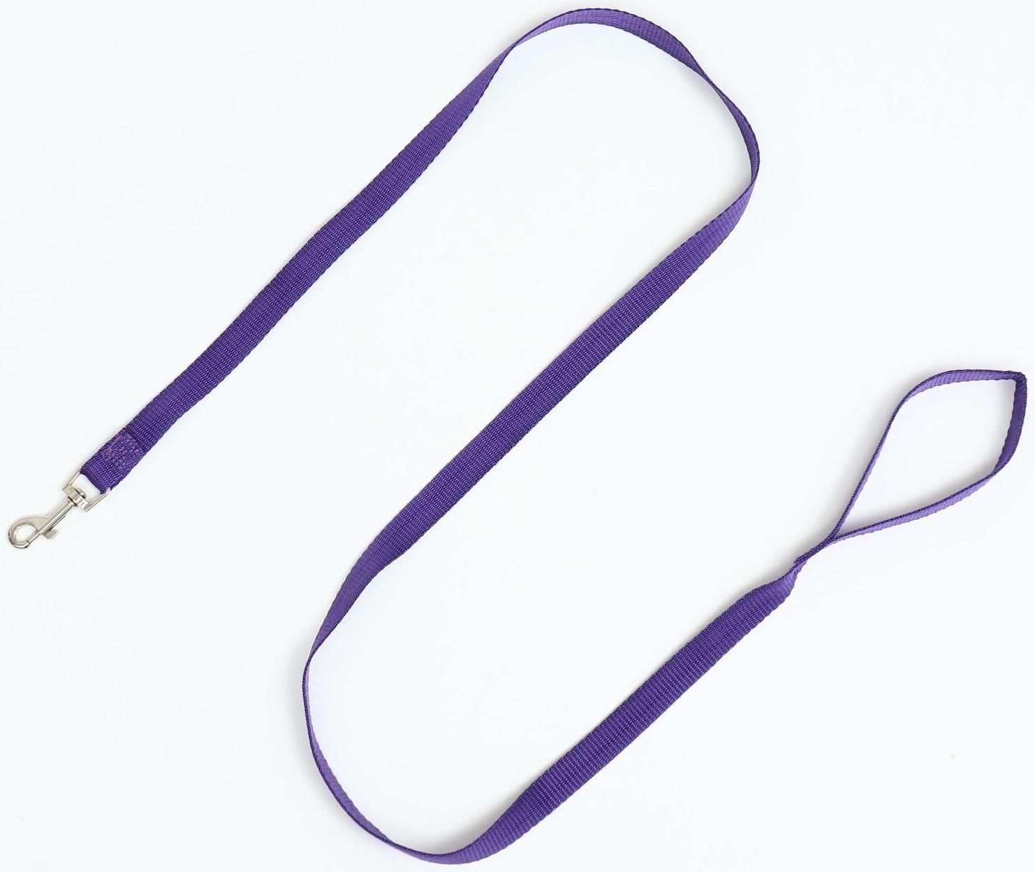 Комплект для собак 3-5 кг, S, шлейка ОШ 24 см, ОГ 34 см, поводок 1,2 м х 1,5 см