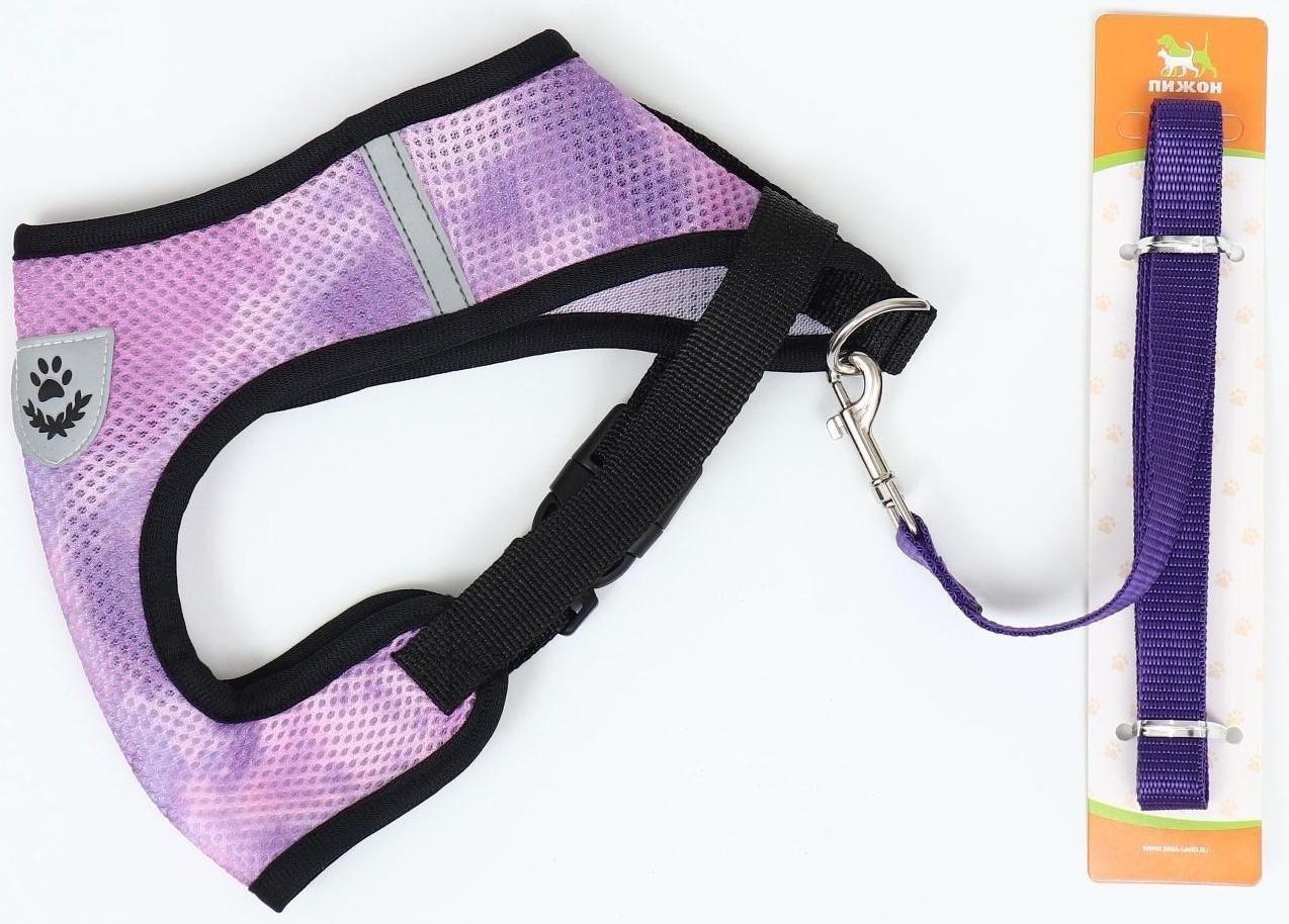 Комплект для собак 3-5 кг, S, шлейка ОШ 24 см, ОГ 34 см, поводок 1,2 м х 1,5 см