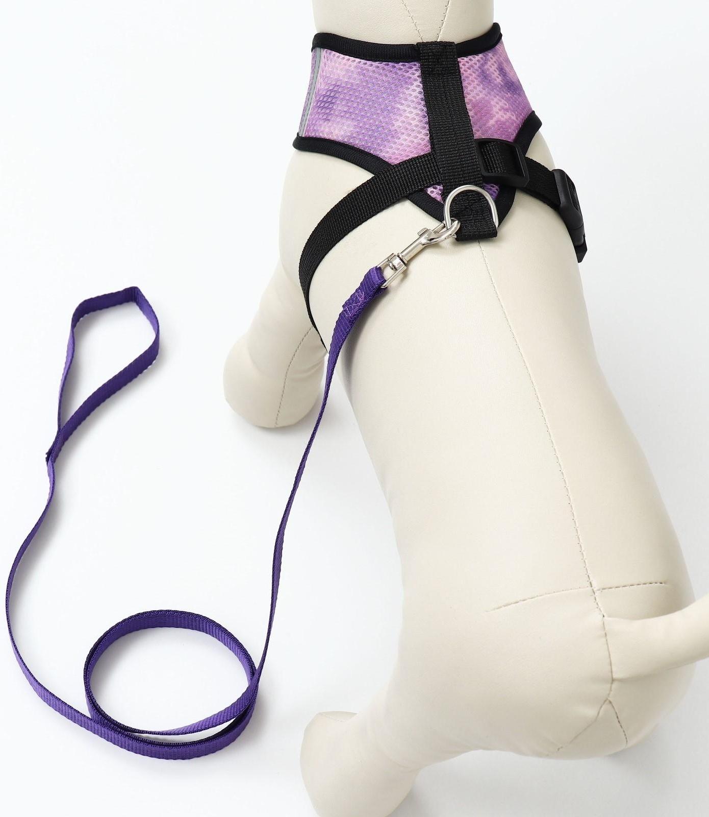 Комплект для собак 3-5 кг, S, шлейка ОШ 24 см, ОГ 34 см, поводок 1,2 м х 1,5 см