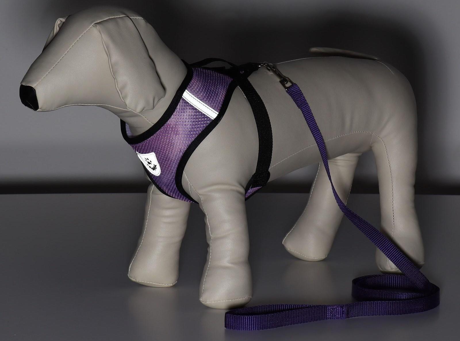 Комплект для собак 3-5 кг, S, шлейка ОШ 24 см, ОГ 34 см, поводок 1,2 м х 1,5 см