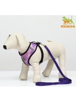 Комплект для собак 3-5 кг, S, шлейка ОШ 24 см, ОГ 34 см, поводок 1,2 м х 1,5 см