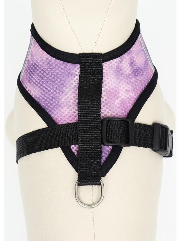 Комплект для собак 3-5 кг, S, шлейка ОШ 24 см, ОГ 34 см, поводок 1,2 м х 1,5 см