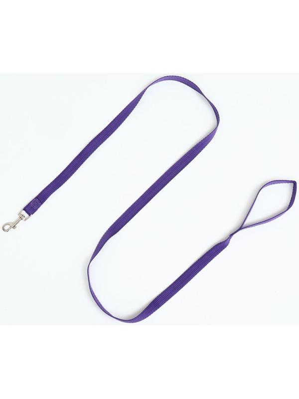 Комплект для собак 3-5 кг, S, шлейка ОШ 24 см, ОГ 34 см, поводок 1,2 м х 1,5 см