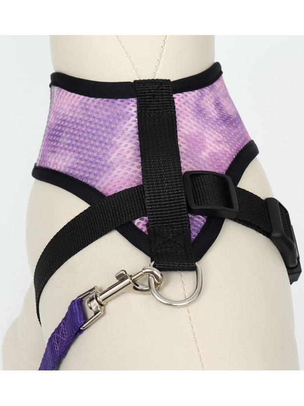 Комплект для собак 3-5 кг, S, шлейка ОШ 24 см, ОГ 34 см, поводок 1,2 м х 1,5 см