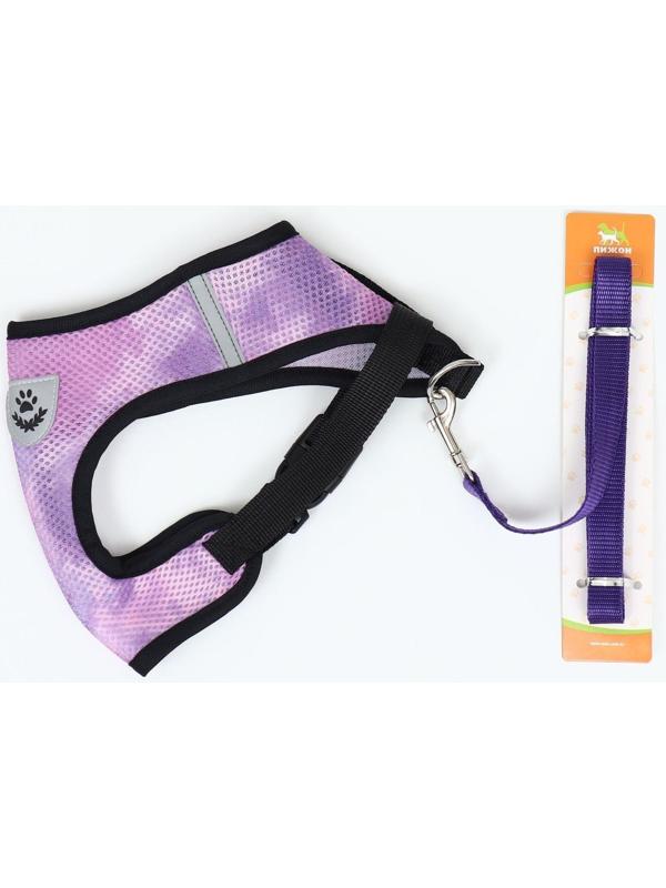 Комплект для собак 3-5 кг, S, шлейка ОШ 24 см, ОГ 34 см, поводок 1,2 м х 1,5 см