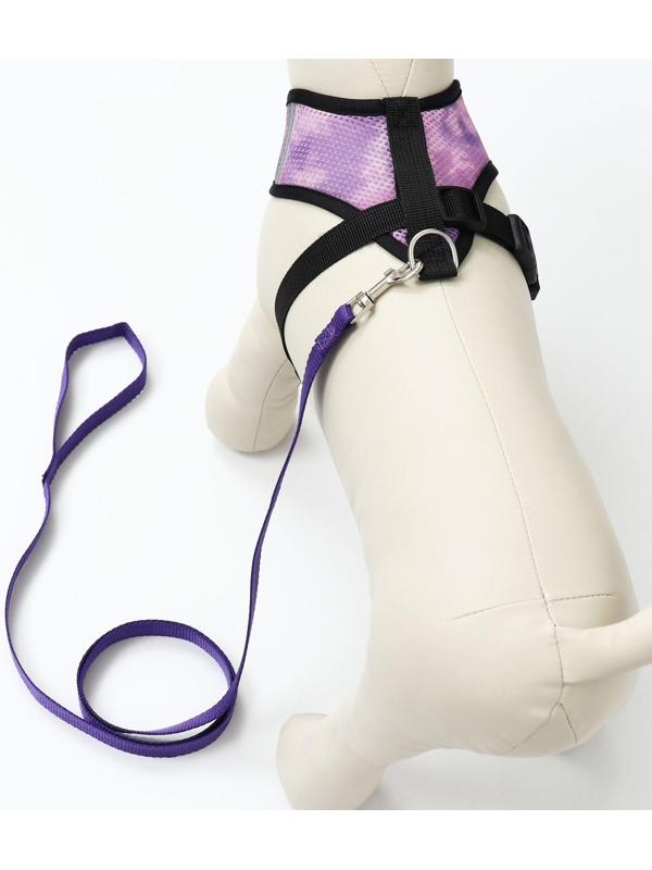 Комплект для собак 3-5 кг, S, шлейка ОШ 24 см, ОГ 34 см, поводок 1,2 м х 1,5 см