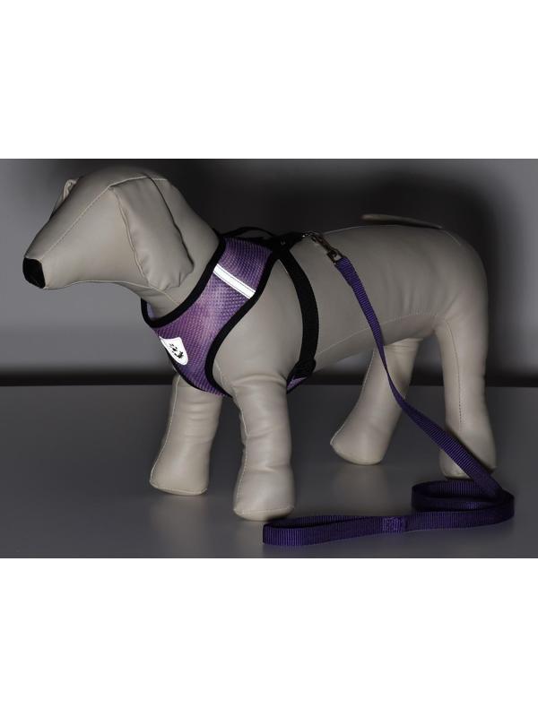 Комплект для собак 3-5 кг, S, шлейка ОШ 24 см, ОГ 34 см, поводок 1,2 м х 1,5 см