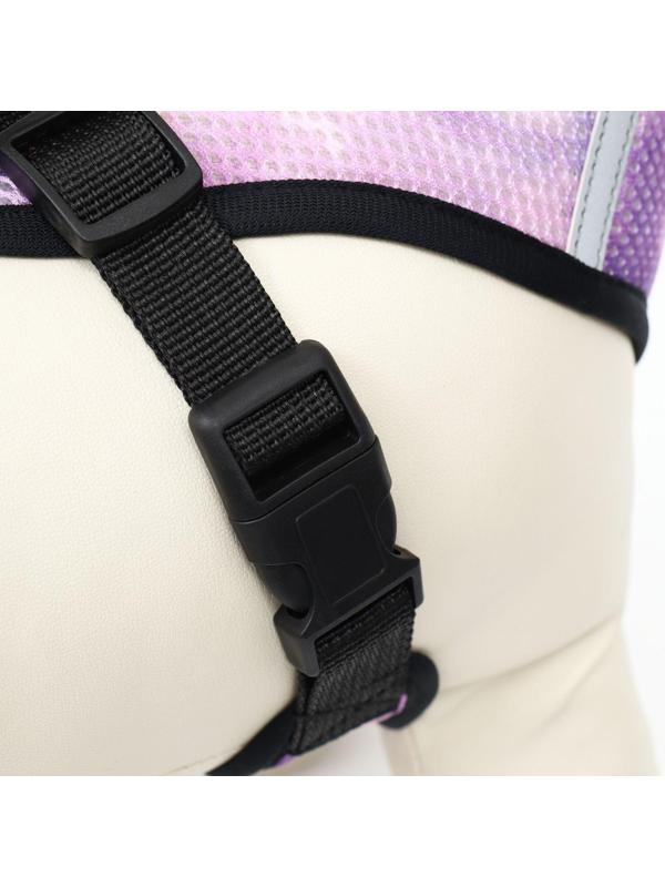 Комплект для собак 3-5 кг, S, шлейка ОШ 24 см, ОГ 34 см, поводок 1,2 м х 1,5 см