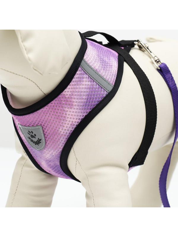 Комплект для собак 3-5 кг, S, шлейка ОШ 24 см, ОГ 34 см, поводок 1,2 м х 1,5 см