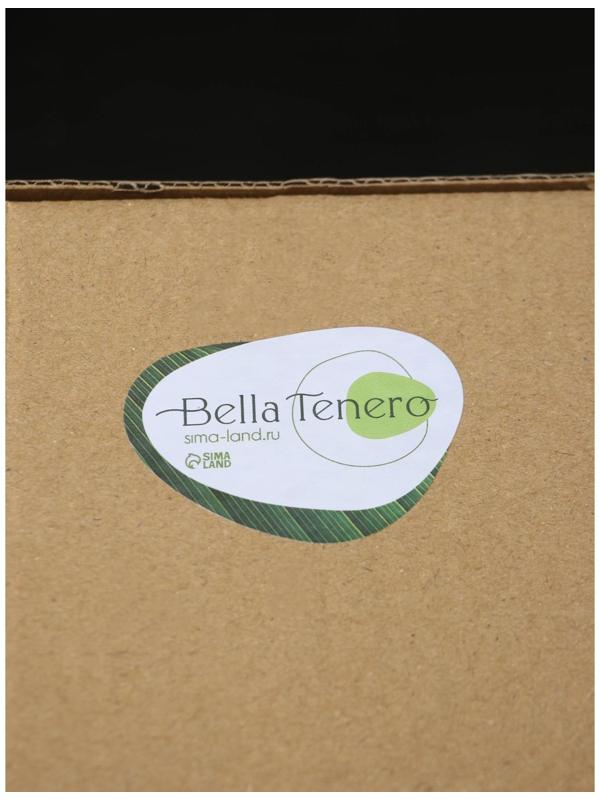 Чайник стеклянный заварочный с бамбуковой крышкой и металлическим фильтром BellaTenero «Октогон», 1,2 л