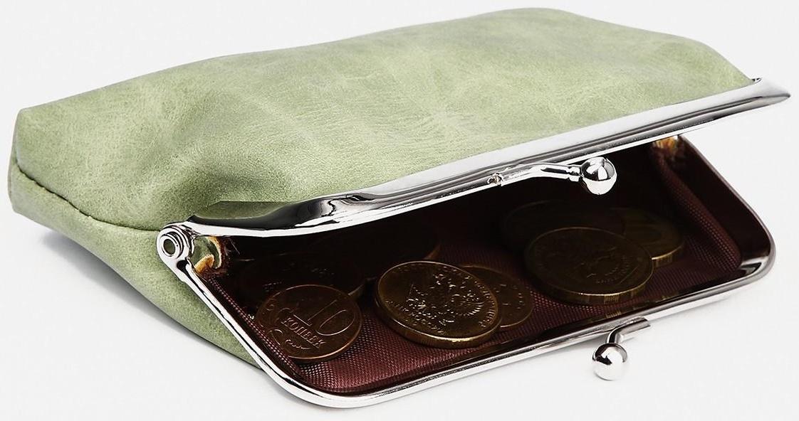 Кошелёк на фермуаре, цвет зелёный