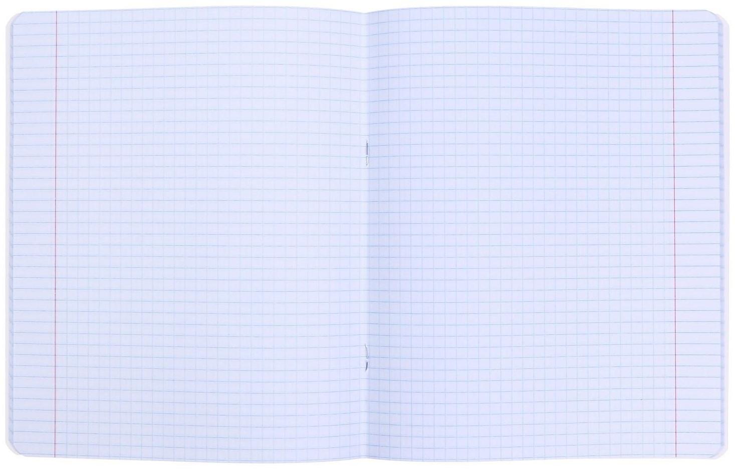 Тетрадь 48 листов в клетку 