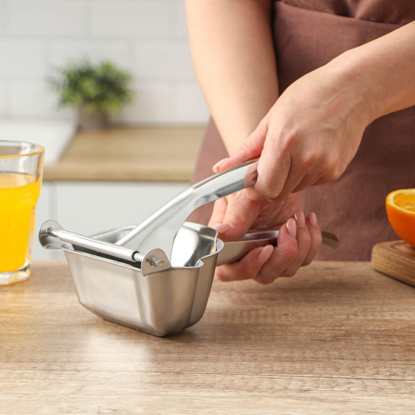 Соковыжималка для цитрусовых Доляна, 22,5 см