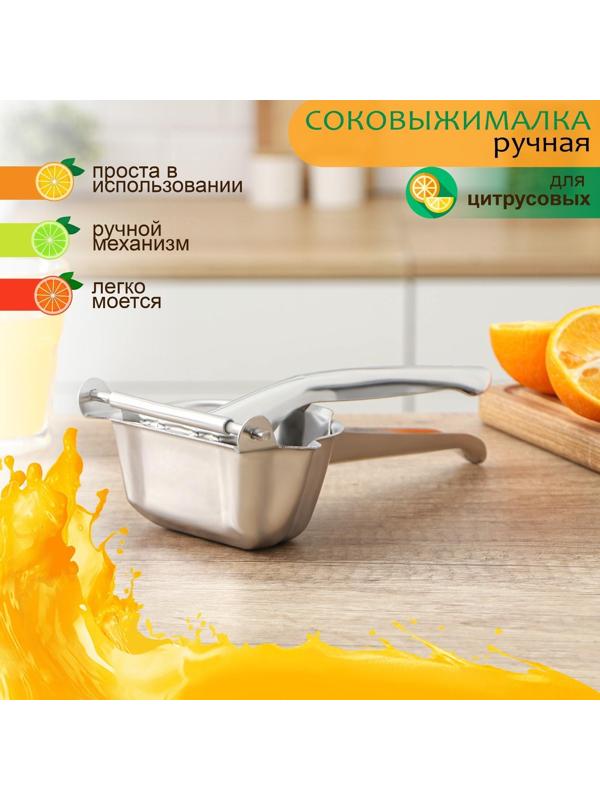 Соковыжималка для цитрусовых Доляна, 22,5 см