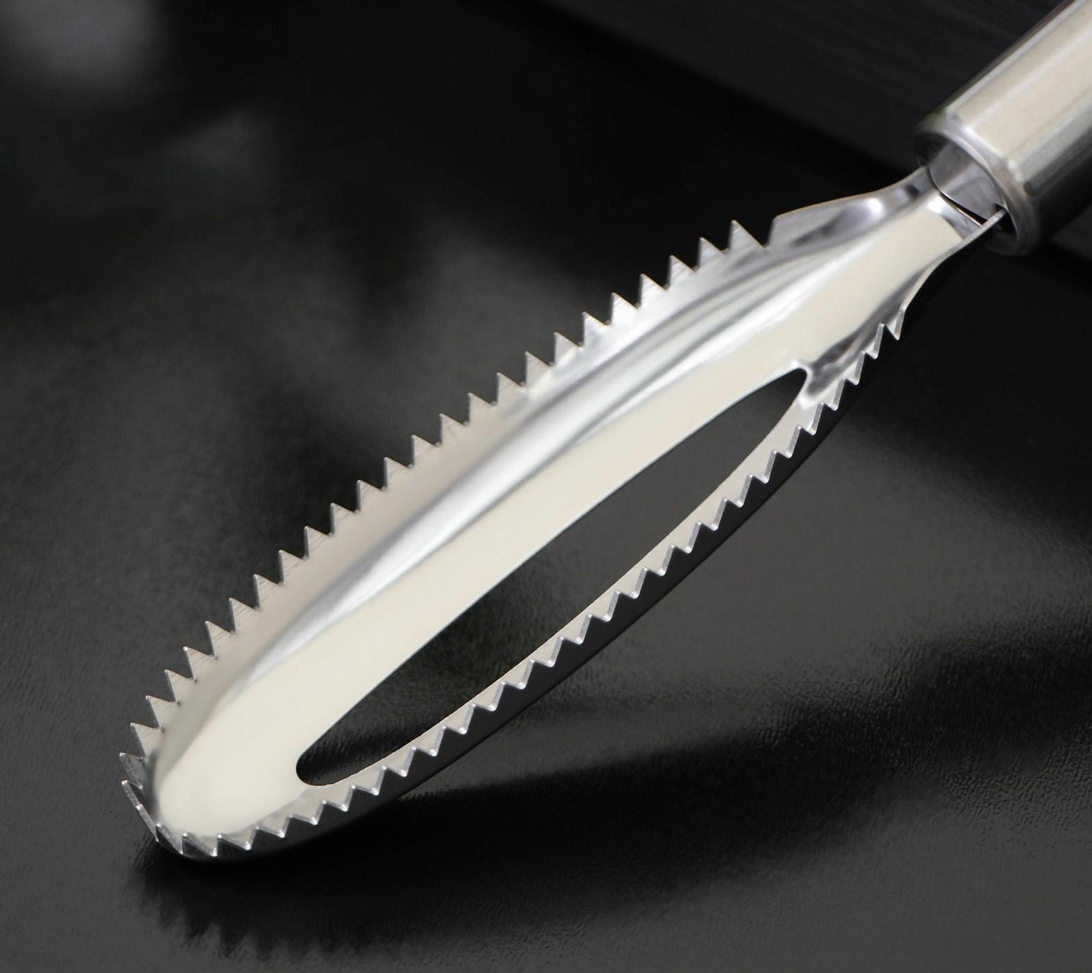 Рыбочистка Доляна «Металлик», 21,5 см