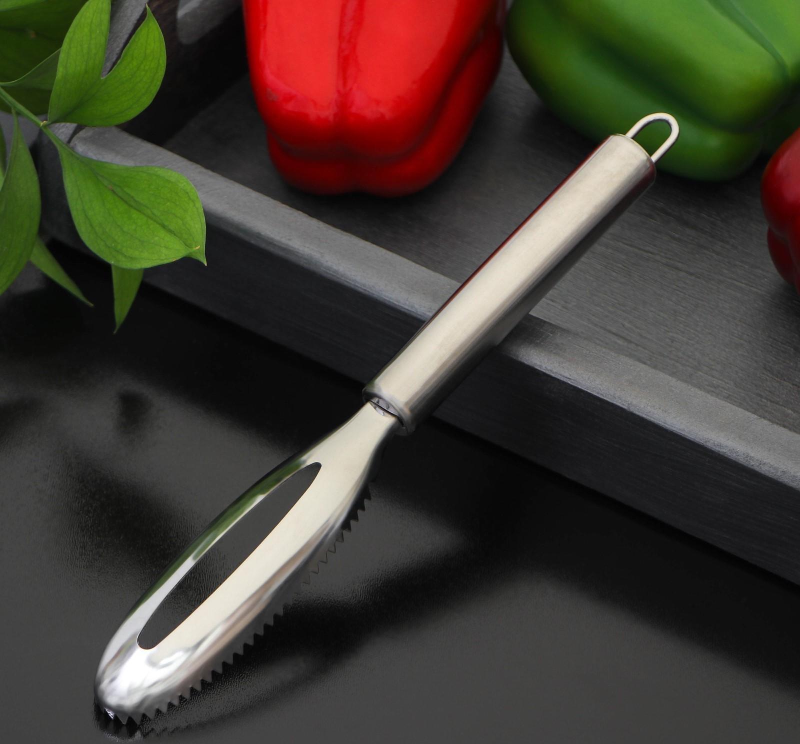 Рыбочистка Доляна «Металлик», 21,5 см