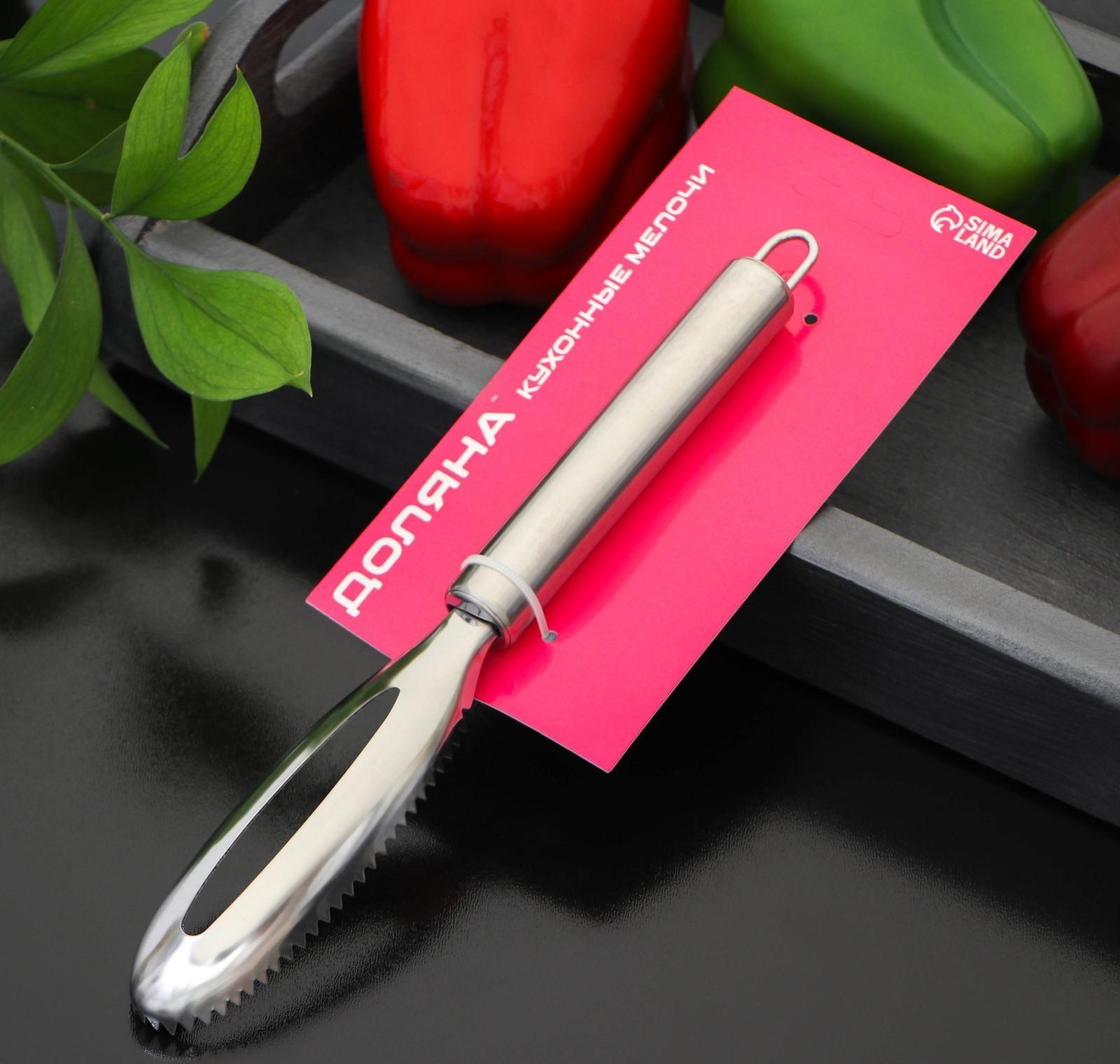 Рыбочистка Доляна «Металлик», 21,5 см