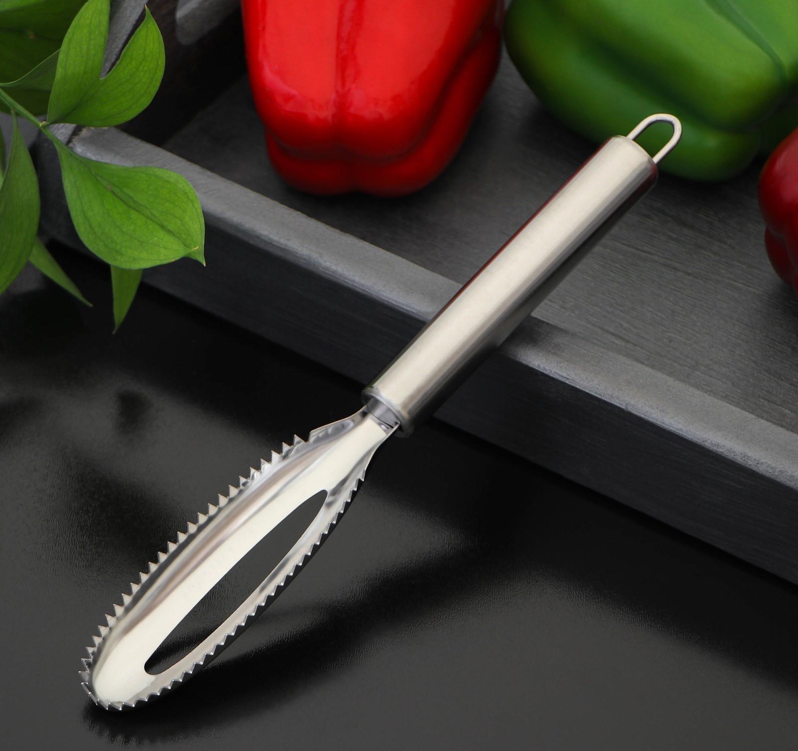 Рыбочистка Доляна «Металлик», 21,5 см