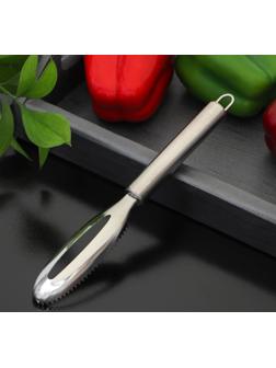 Рыбочистка Доляна «Металлик», 21,5 см