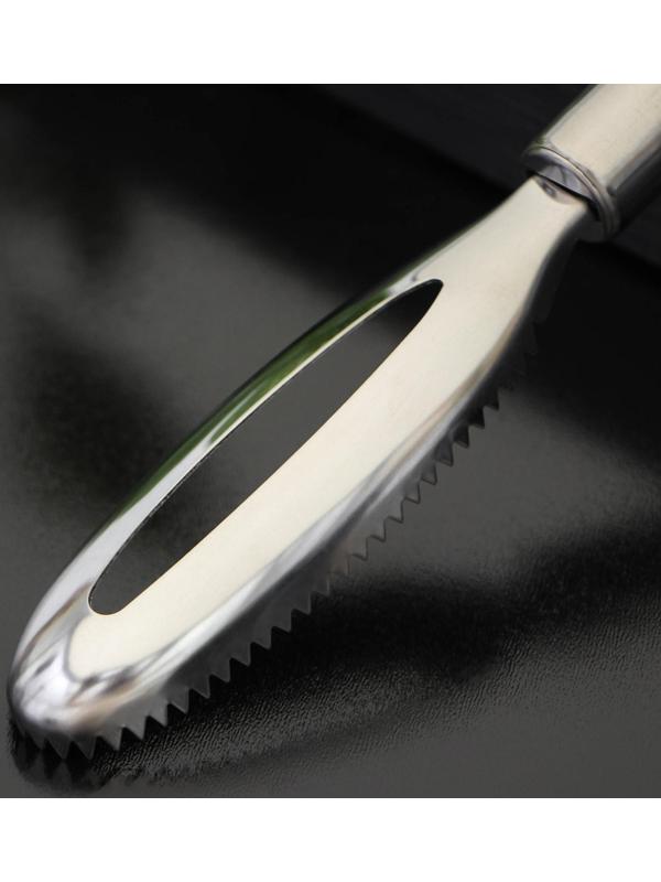 Рыбочистка Доляна «Металлик», 21,5 см