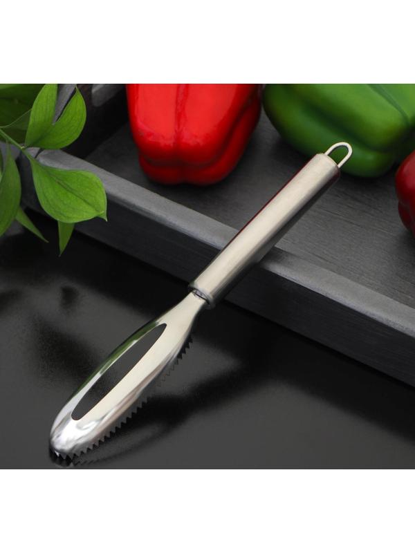 Рыбочистка Доляна «Металлик», 21,5 см