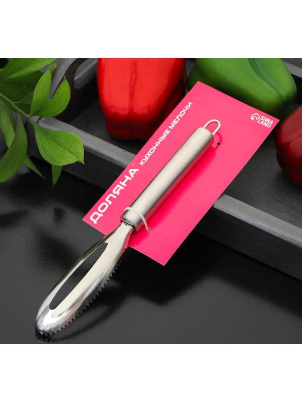 Рыбочистка Доляна «Металлик», 21,5 см