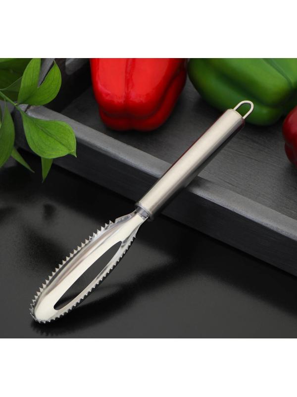 Рыбочистка Доляна «Металлик», 21,5 см