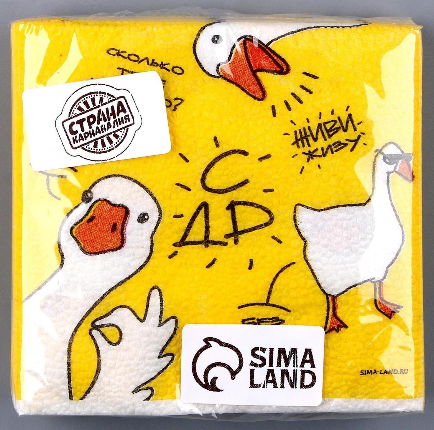 Салфетки бумажные однослойные «Гуси», 24х24 см, набор 20 шт.