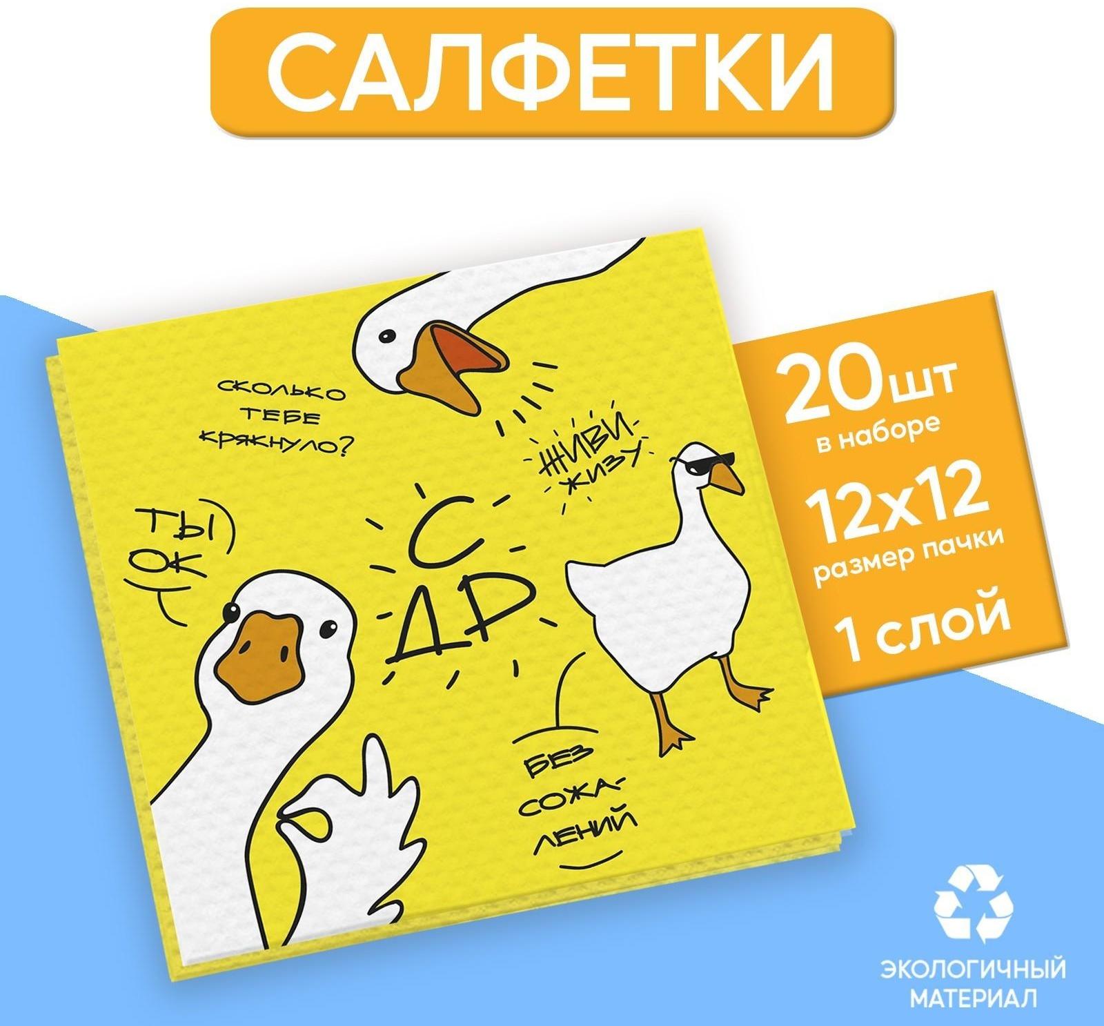 Салфетки бумажные однослойные «Гуси», 24х24 см, набор 20 шт.