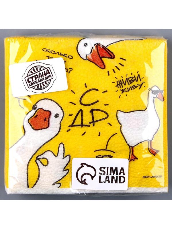 Салфетки бумажные однослойные «Гуси», 24х24 см, набор 20 шт.