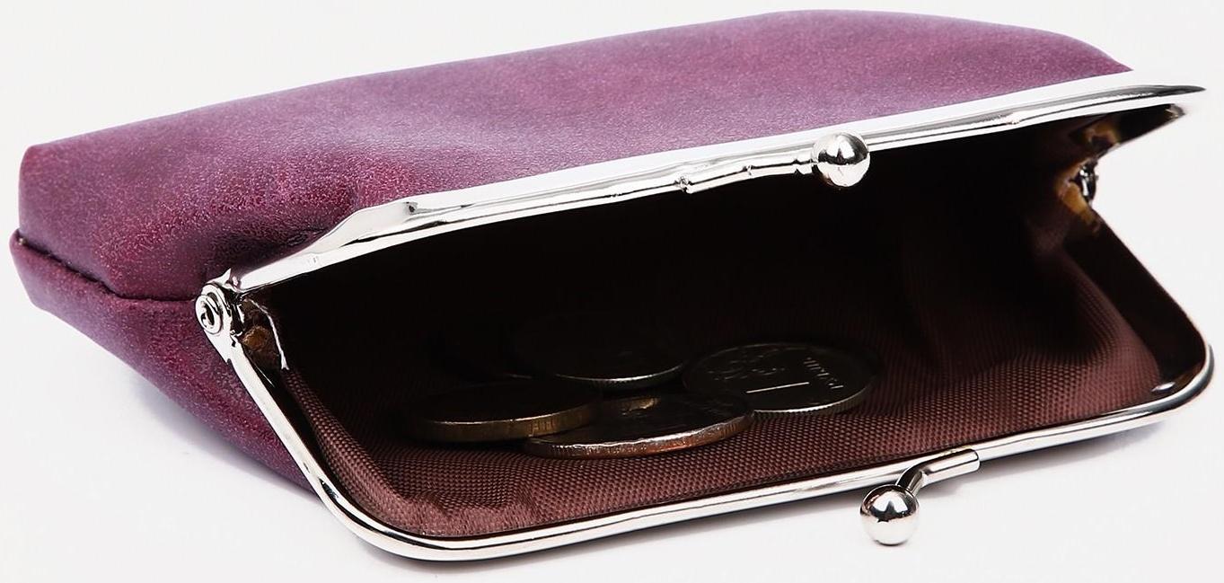 Кошелёк на фермуаре, цвет фиолетовый