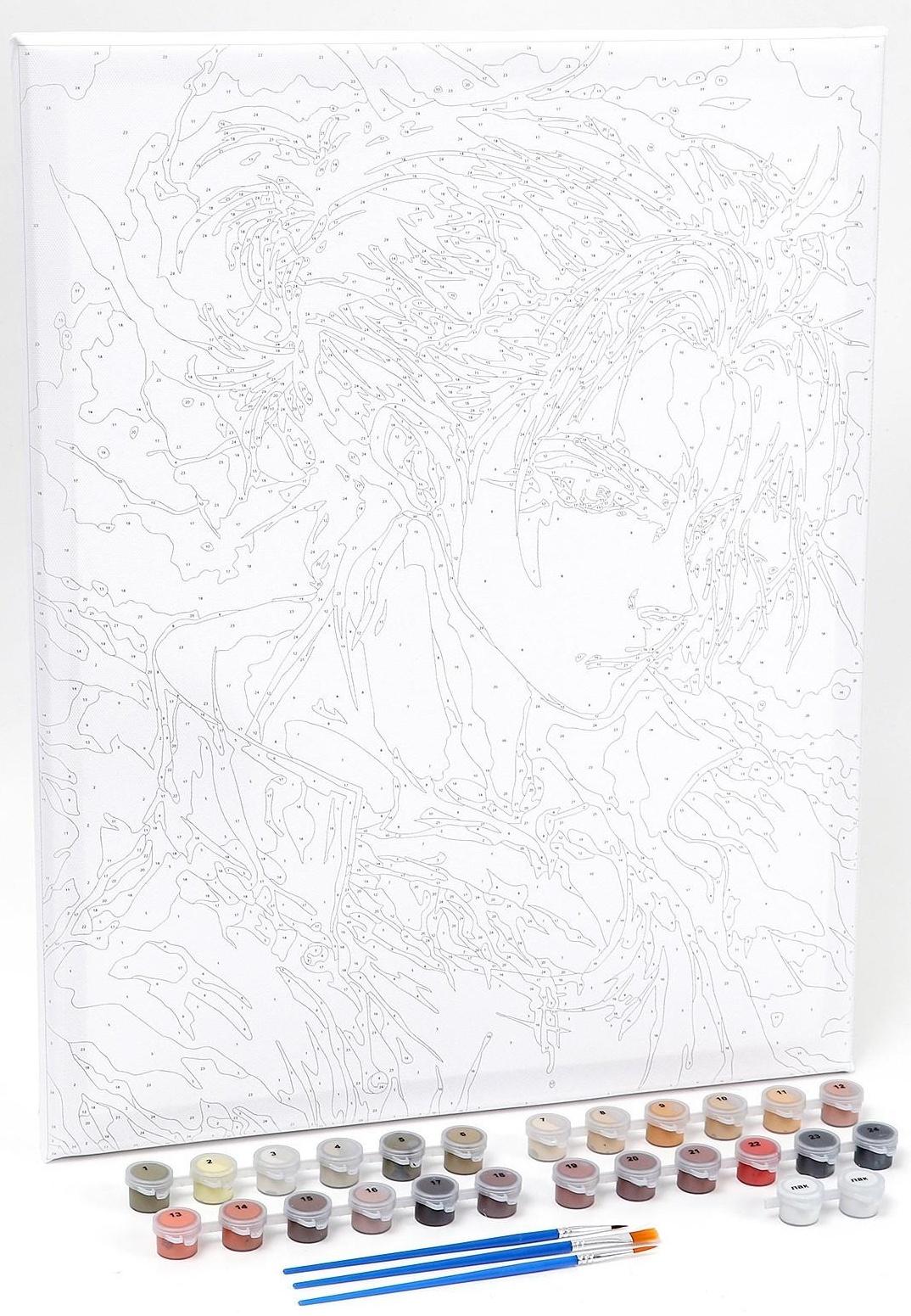 Картина по номерам на холсте с подрамником «Воин в огне», 40х50 см