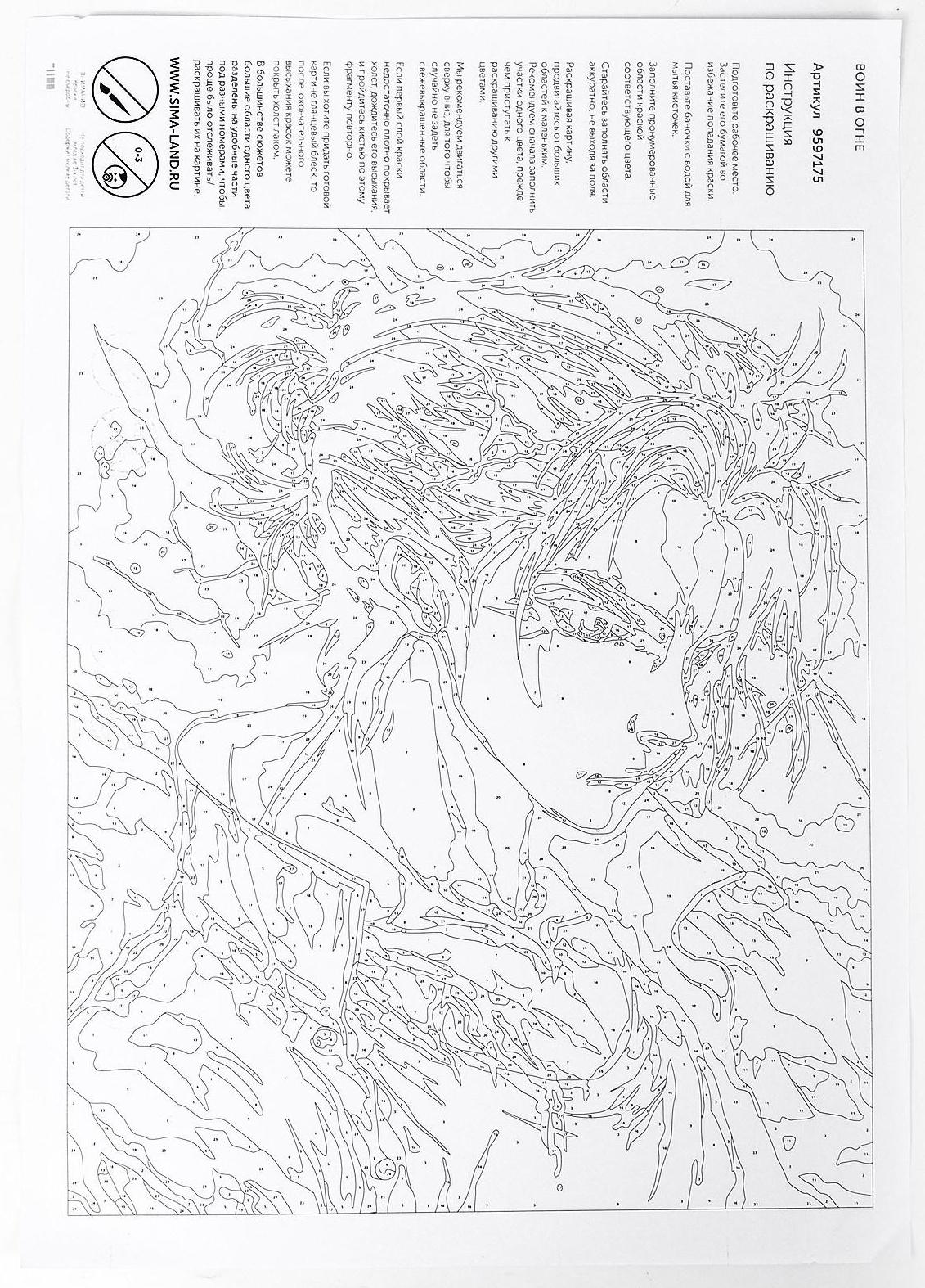 Картина по номерам на холсте с подрамником «Воин в огне», 40х50 см