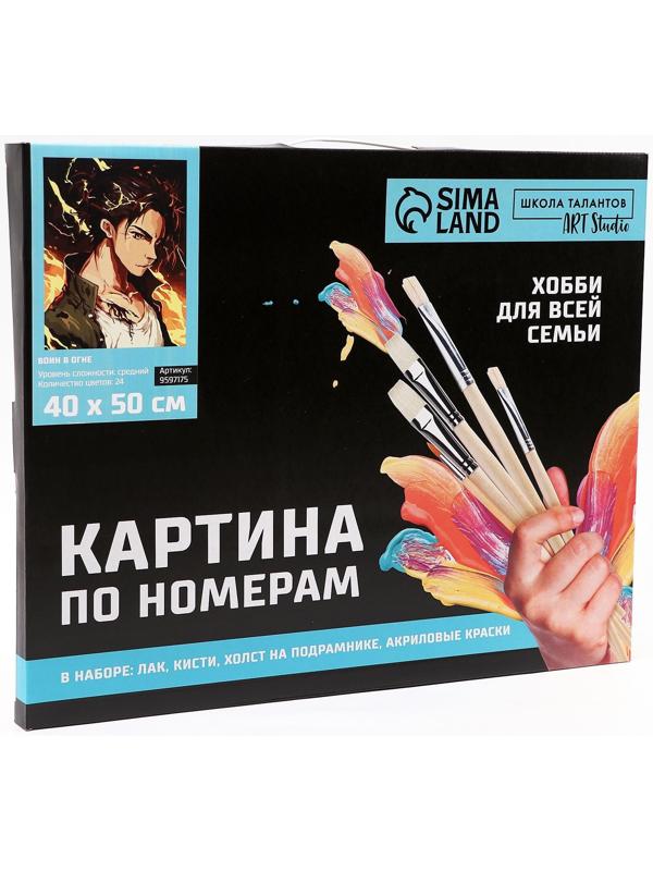 Картина по номерам на холсте с подрамником «Воин в огне», 40х50 см