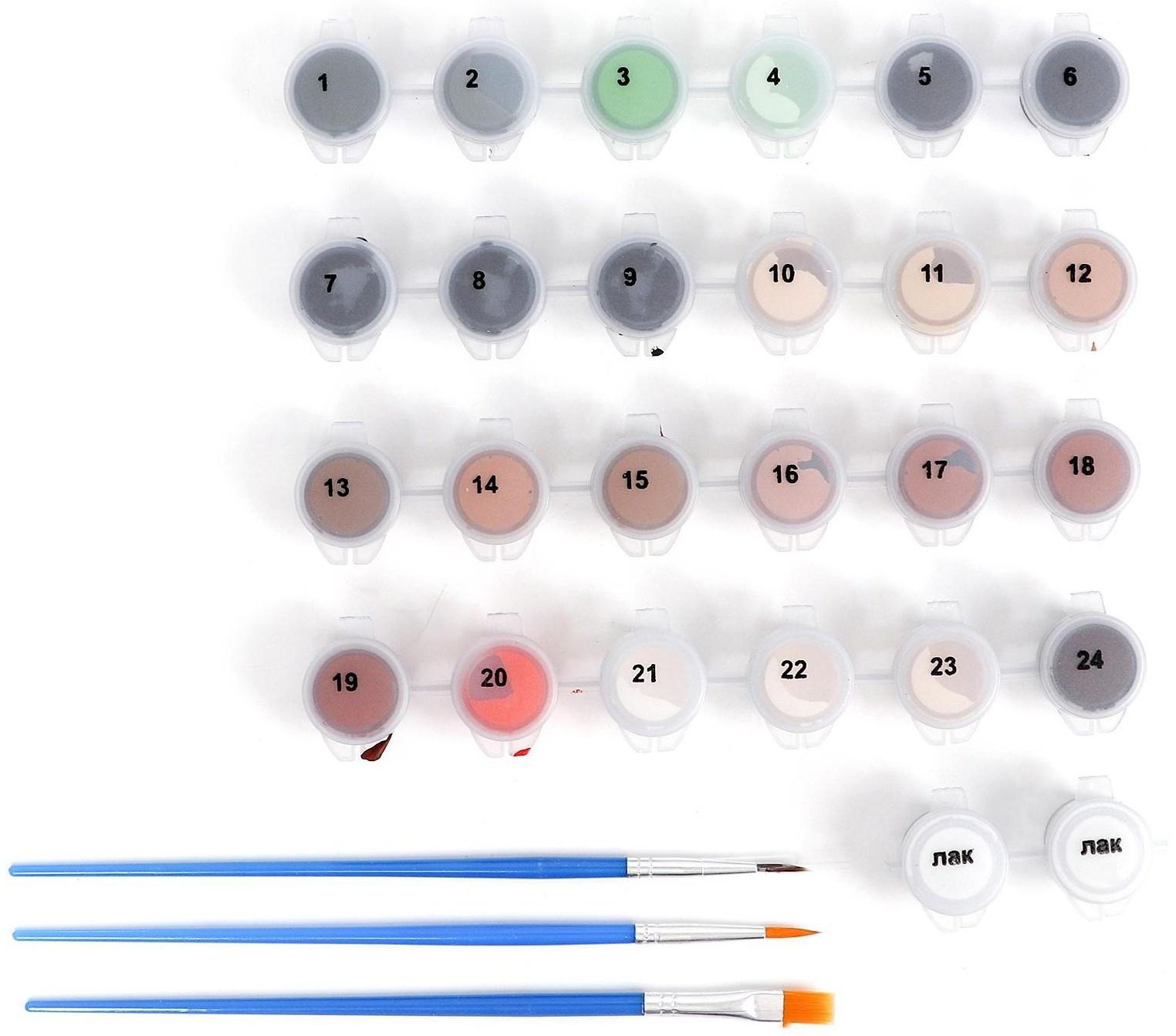 Картина по номерам на холсте с подрамником «Схватка», 40х50 см