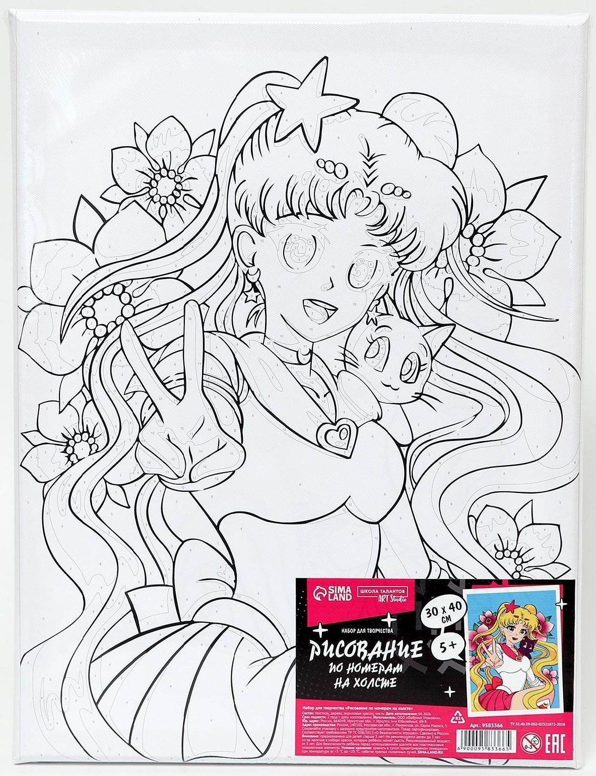 Картина по номерам на холсте с подрамником «Лунная принцесса», 30х40 см, в пленке