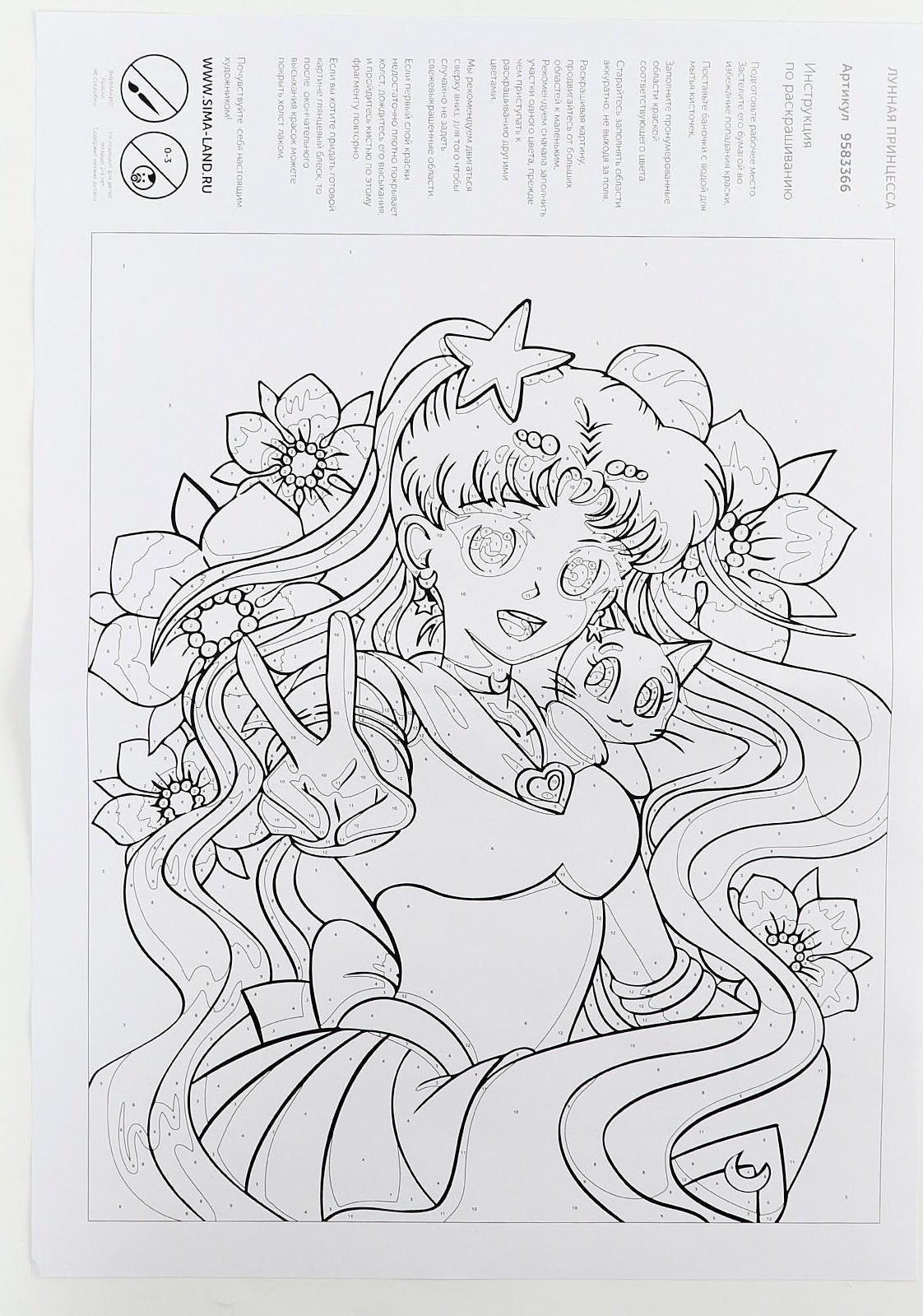 Картина по номерам на холсте с подрамником «Лунная принцесса», 30х40 см, в пленке