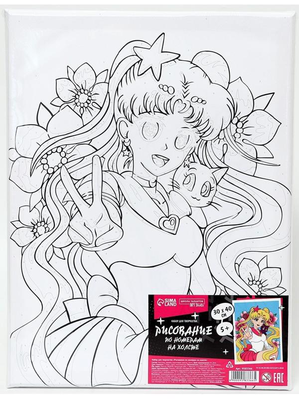 Картина по номерам на холсте с подрамником «Лунная принцесса», 30х40 см, в пленке