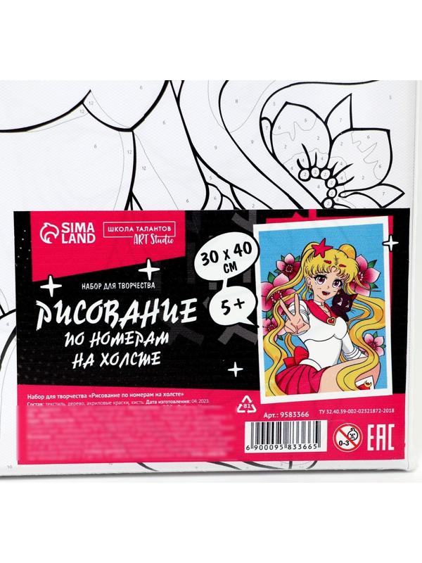 Картина по номерам на холсте с подрамником «Лунная принцесса», 30х40 см, в пленке