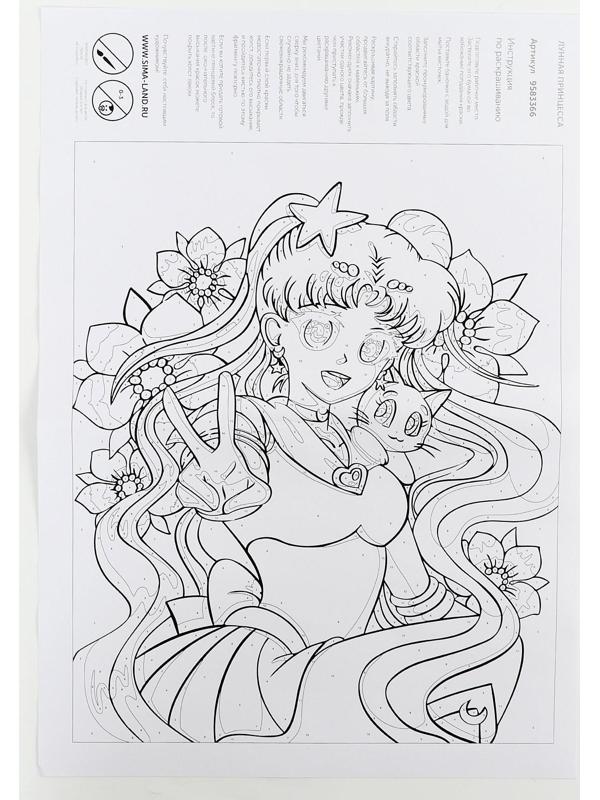 Картина по номерам на холсте с подрамником «Лунная принцесса», 30х40 см, в пленке