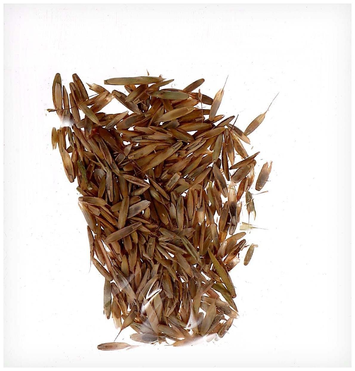 Набор для опытов «Твоя экоферма», 2 в 1