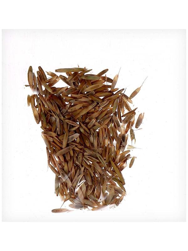 Набор для опытов «Твоя экоферма», 2 в 1