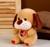 Мягкая игрушка «Собака», размер 22 см, цвет рыжий