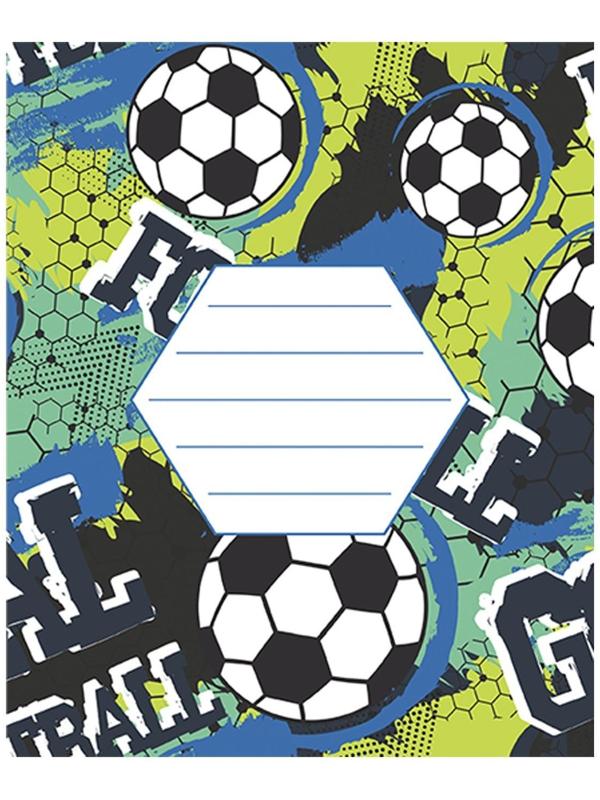 Тетрадь 12 листов в косую линию 