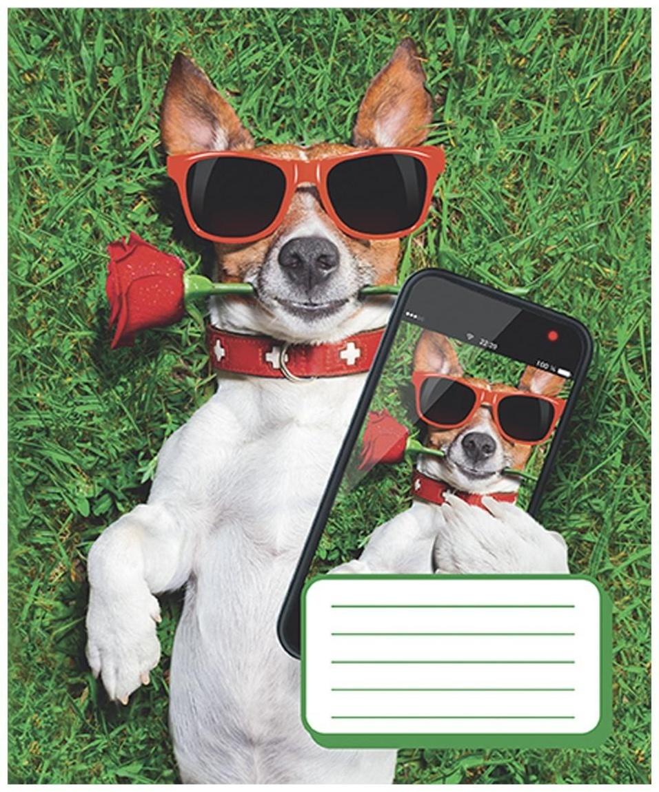 Тетрадь 12 листов в косую линию 