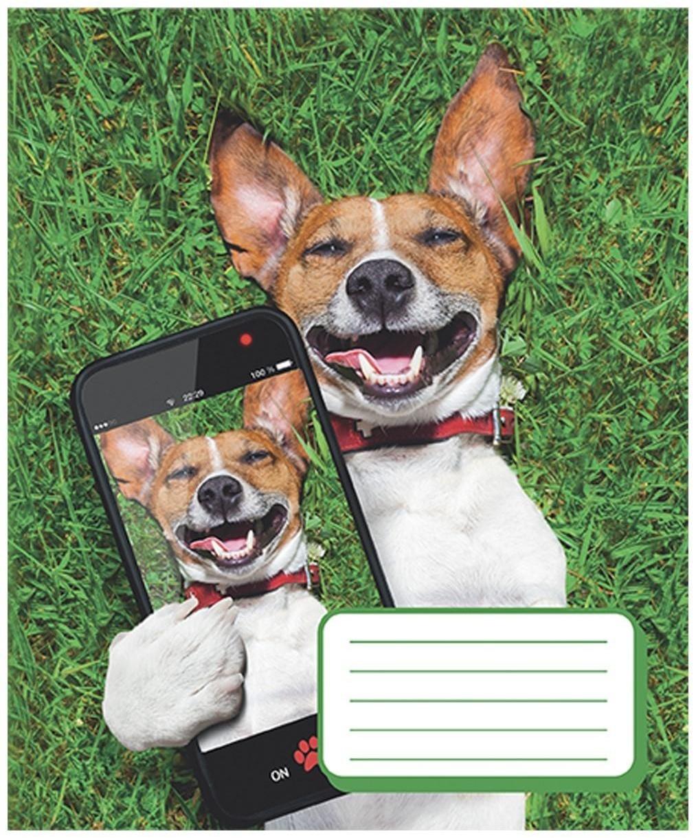 Тетрадь 12 листов в косую линию 