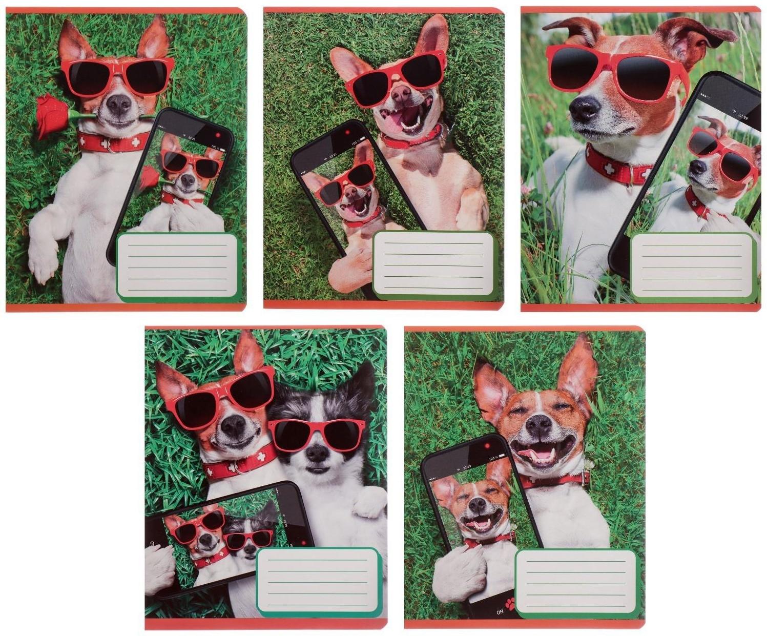 Тетрадь 12 листов в косую линию 