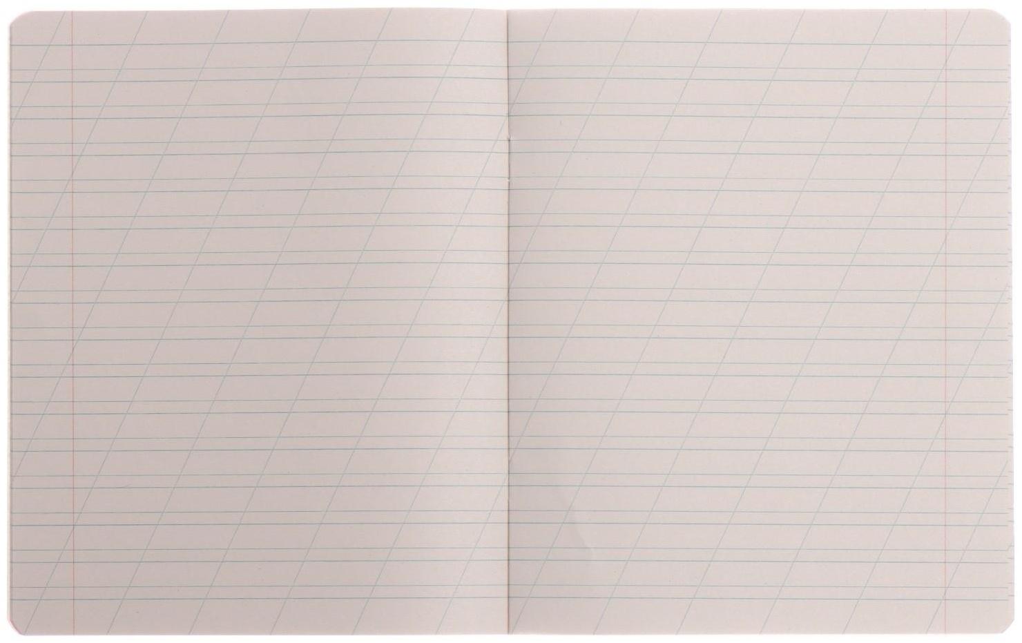 Тетрадь 12 листов в косую линию 