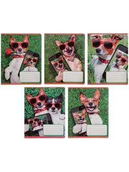 Тетрадь 12 листов в косую линию 